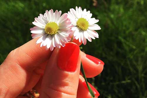 Recette contre les ongles mous et cassants - Ateliers bien-être entreprise - photo 02