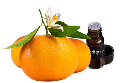 Huile essentielle de Petitgrain bigarade - Ateliers bien-être entreprise - photo 01
