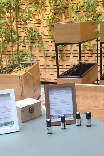 Photo : Ateliers bien-être entreprise - photo 13