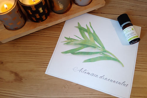 Huile essentielle d'Estragon - Ateliers bien-être entreprise - photo 01